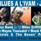IVAM-Blues-08-Banner