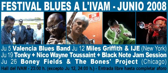 IVAM-Blues-08-Banner
