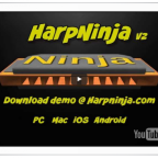 harp-ninja-2014-646x510-1