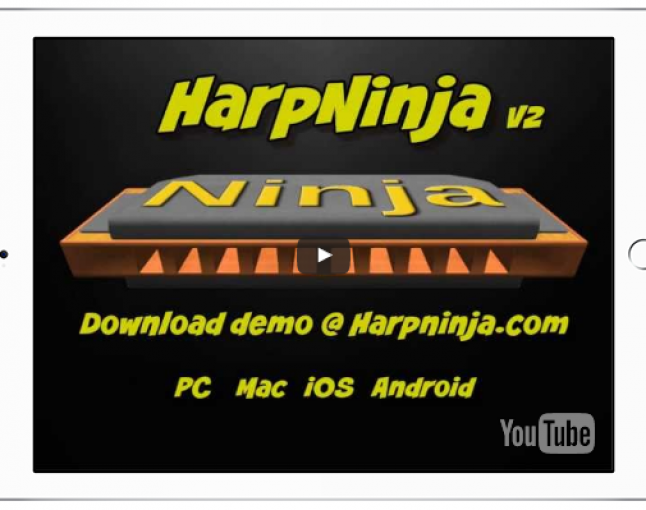 harp-ninja-2014-646x510-1